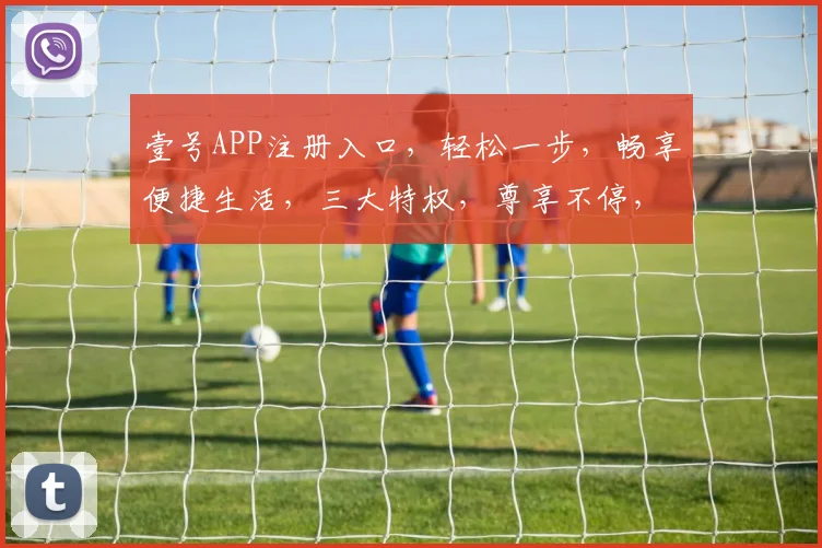 壹号APP注册入口，轻松一步，畅享便捷生活，三大特权，尊享不停，立即加入
