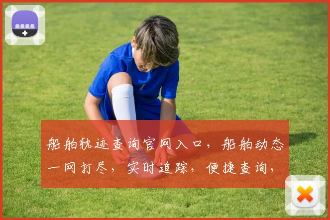 船舶轨迹查询官网入口，船舶动态一网打尽，实时追踪，便捷查询，三步直达